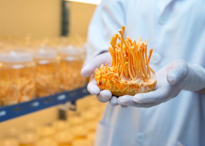 Dựa vào xúc giác