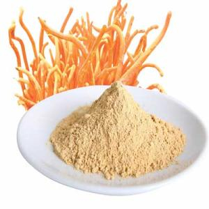 Mật ong đông trùng hạ thảo giúp làm giảm lượng cholesterone trong máu