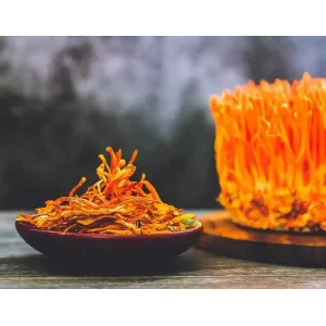 Lưu ý khi sử dụng đông trùng hạ thảo sấy thăng hoa