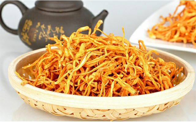 Đồng trùng hạ thảo là gì?