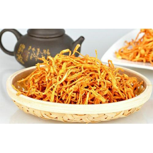 Đồng trùng hạ thảo là gì?