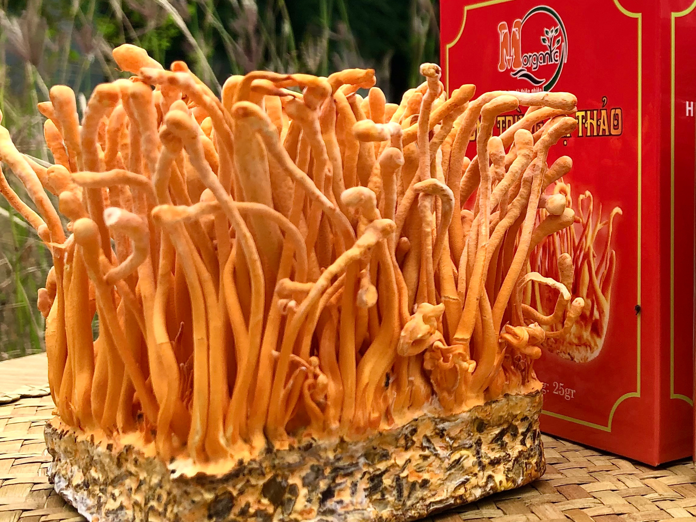 Nguồn gốc, xuất xứ