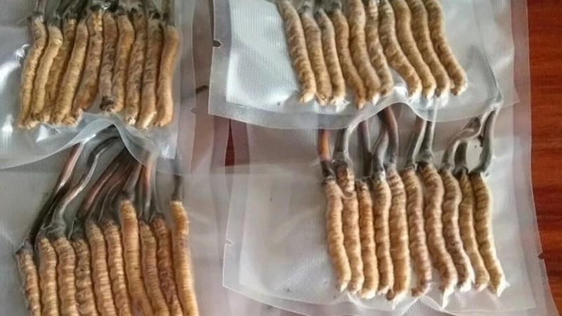 Cách bảo quản đúng cách