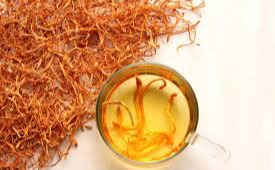 Giá trị dinh dưỡng & hoạt chất