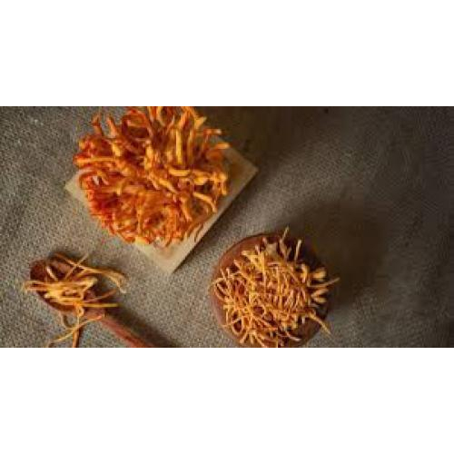 Cách sản xuất Đông trùng hạ thảo (không nuôi cấy)