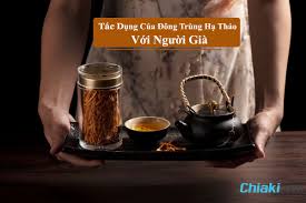 2. Đông Trùng Hạ Thảo Đối Với Đời Sống con Người