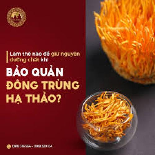 Cách Bảo Quản Đông Trung Hạ Thảo