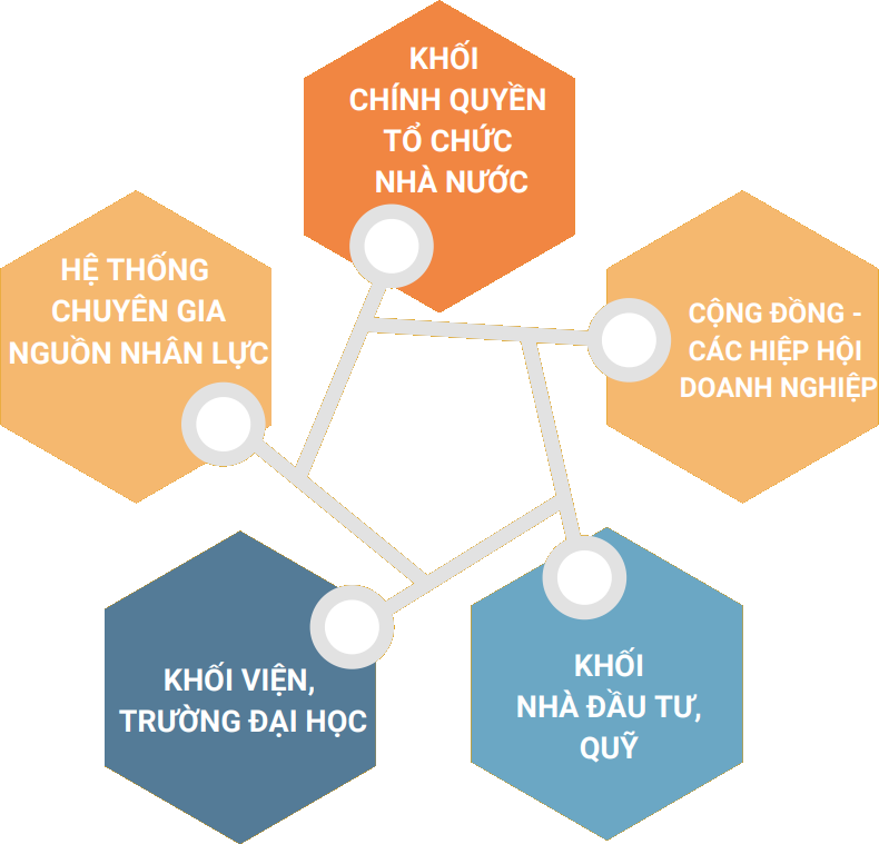 V. Năng lực kết nối