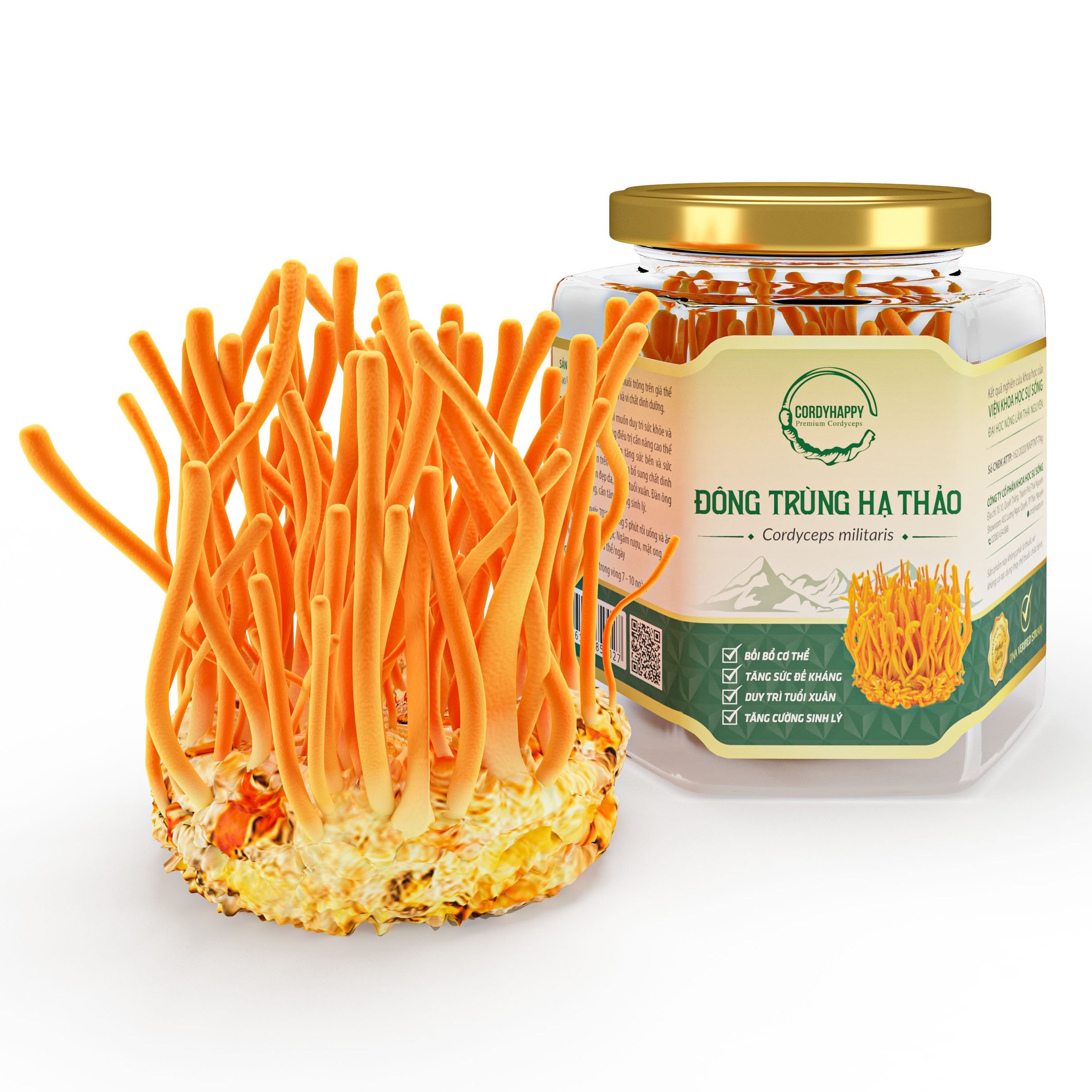 Đông Trùng Hạ Thảo