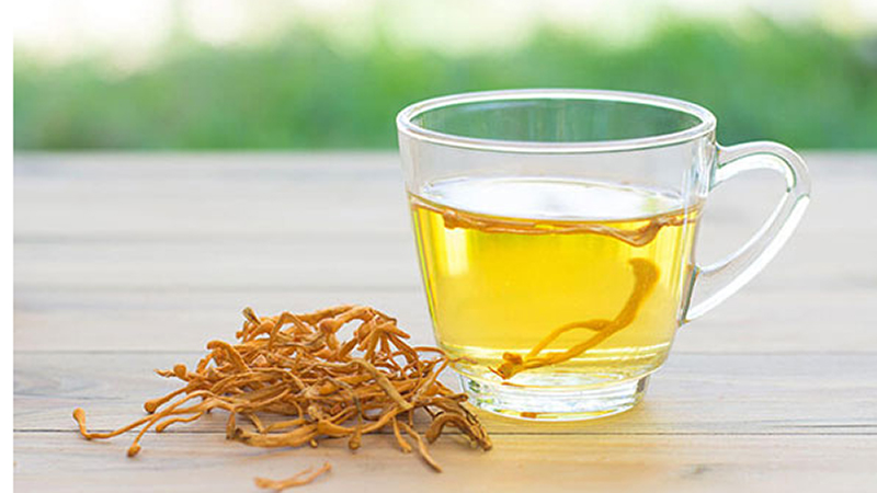 Lợi ích của đông trùng hạ thảo đối với sức khỏe