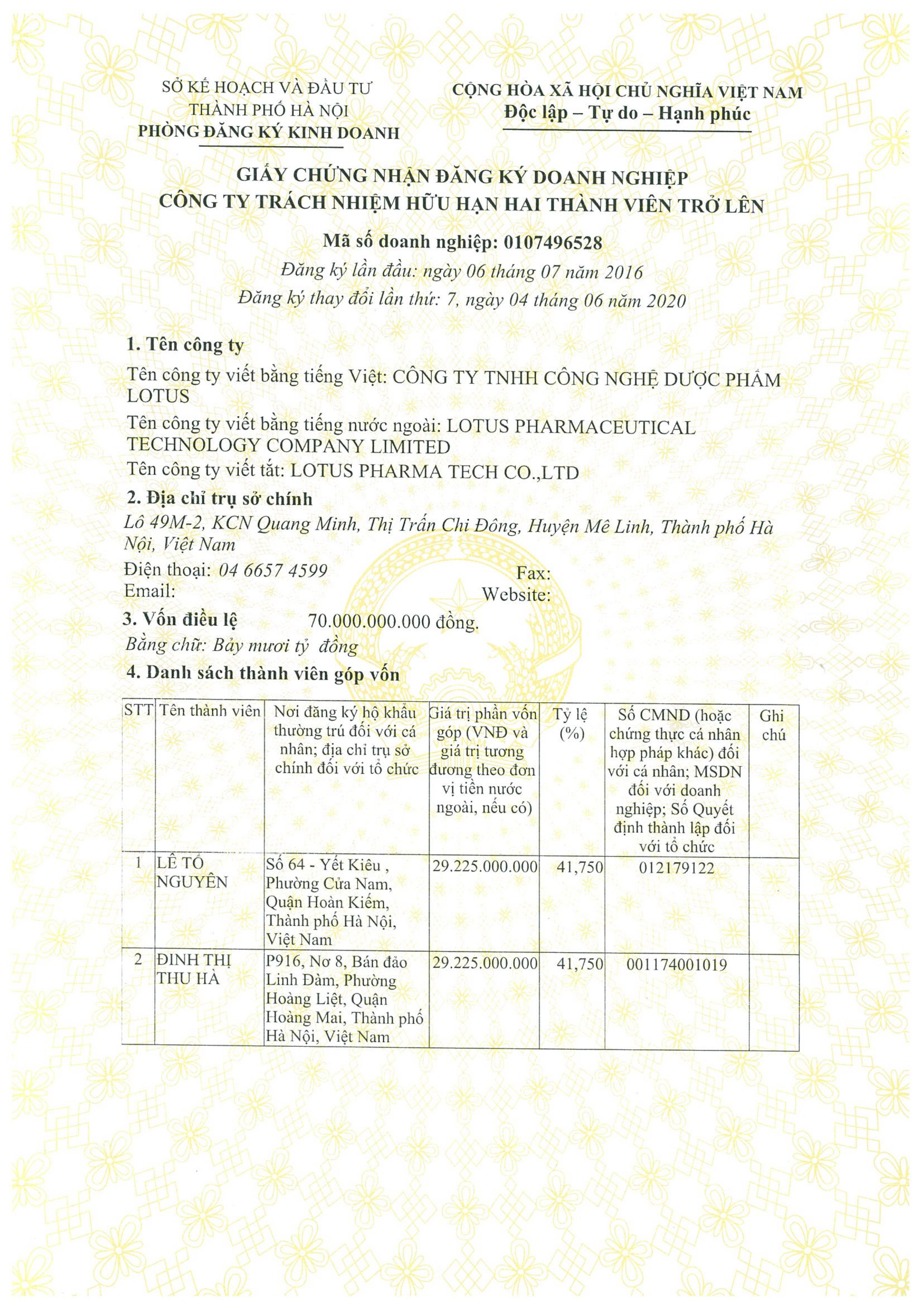 III. Giấy phép đăng ký kinh doanh