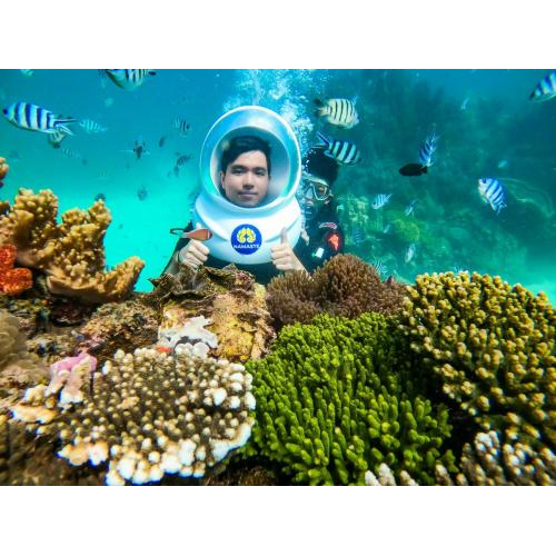 Tour Tham Quan Du Thuyền Nautilus – Snorkeling + Xe + Cano đưa đón 2 chiều