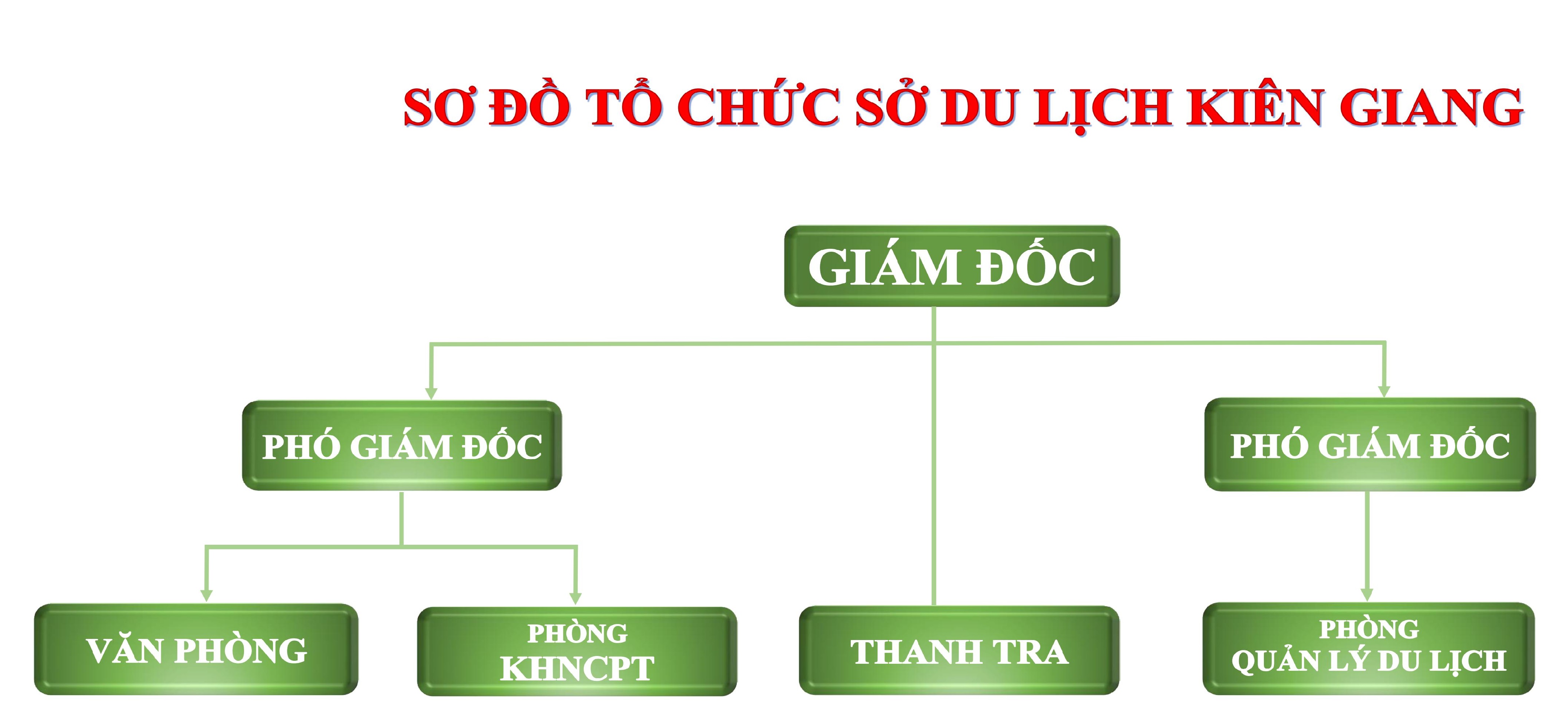 Sơ đồ tổ chức