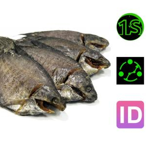 Cá sặc có giá bao nhiêu?