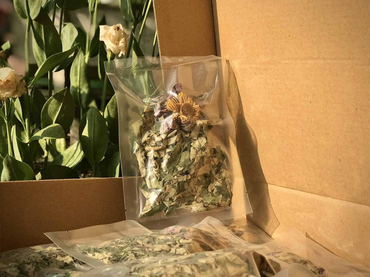 Thanh nhiệt và trị cảm nắng