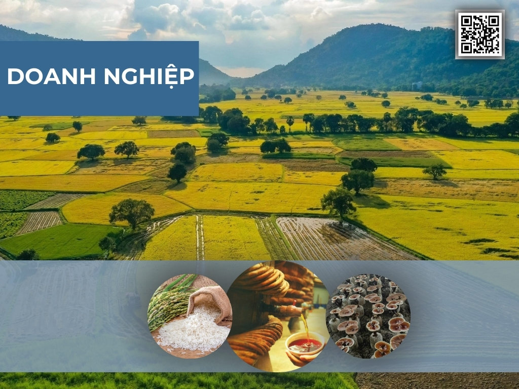 Lợi ích dành cho Doanh An Giang tại A80