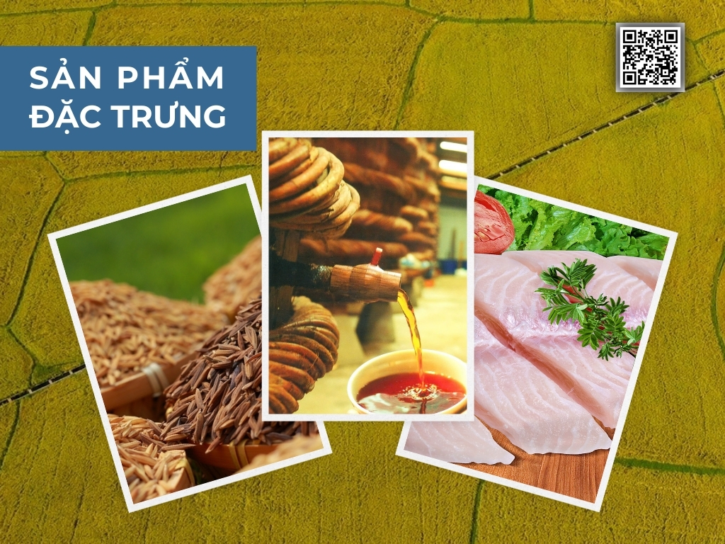 Sản phẩm đặc trưng AN Giang