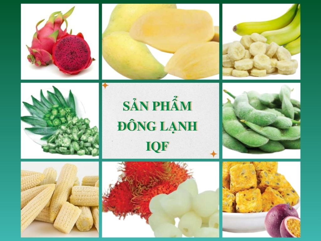 1. Sản phẩm đông lạnh IQF