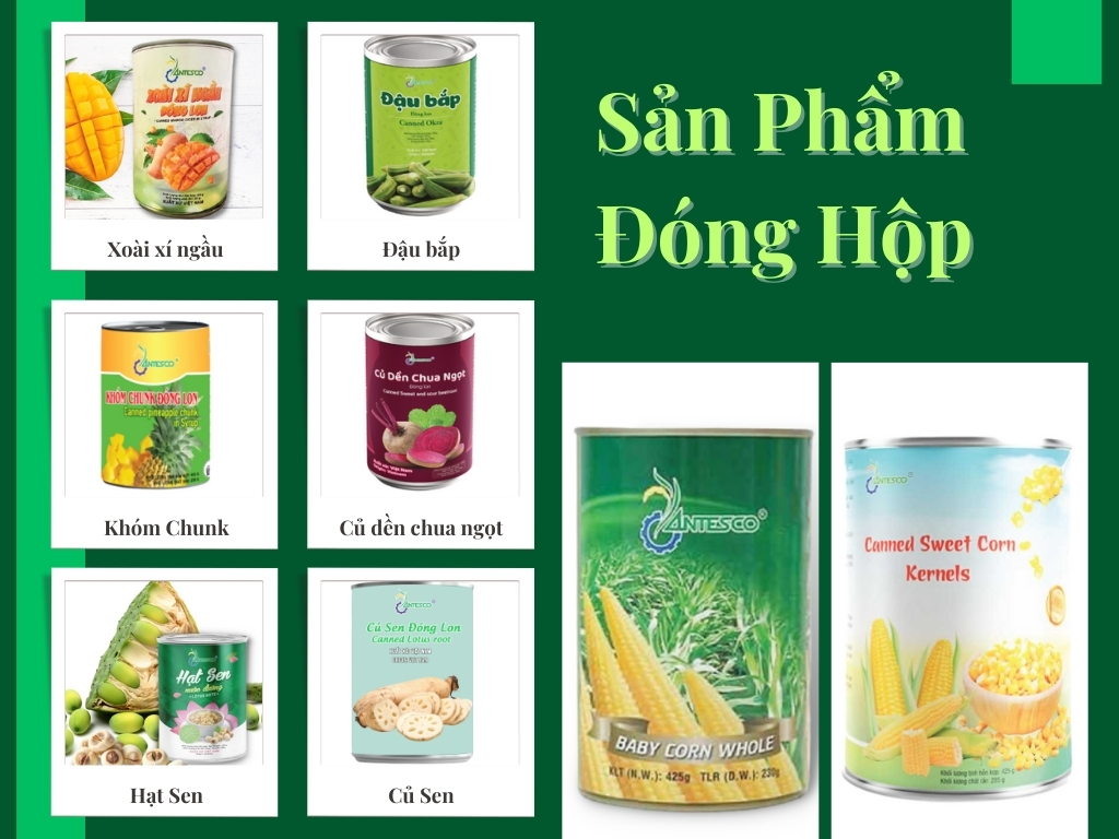 2. Sản phẩm đóng hộp: