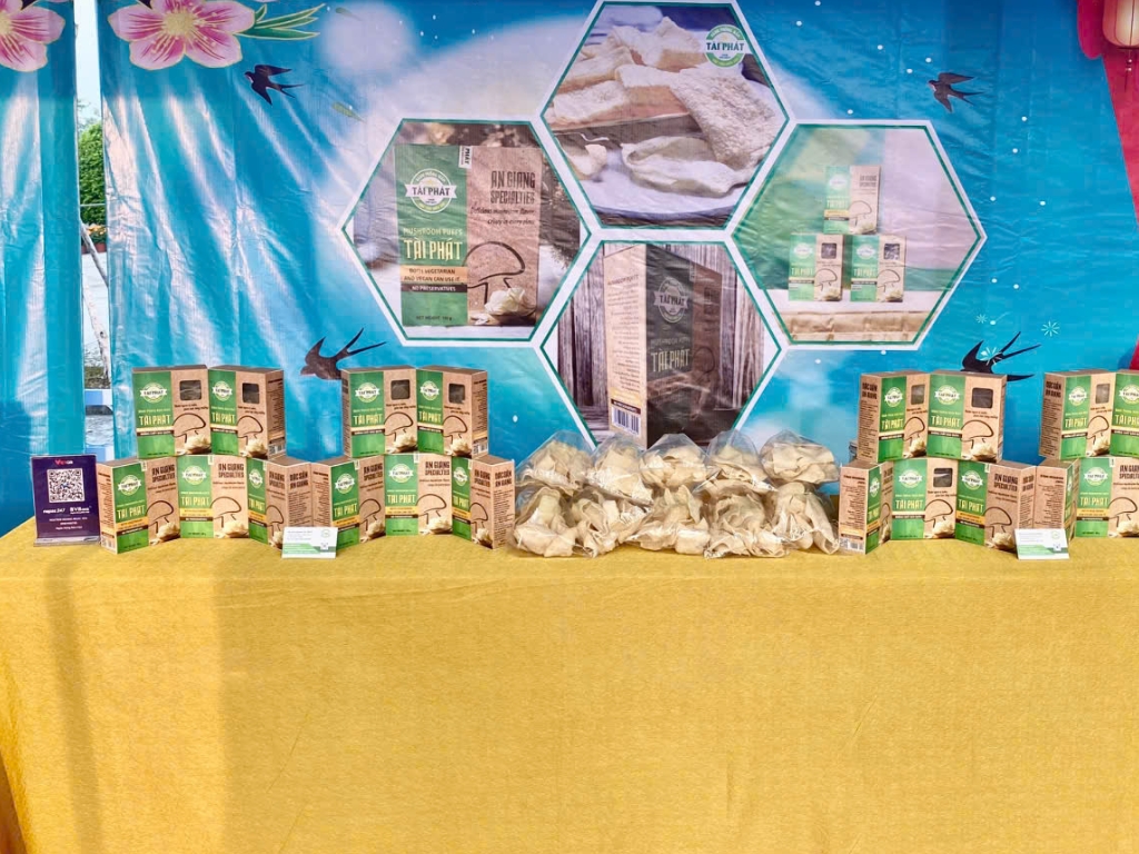 2. Lĩnh vực hoạt động: