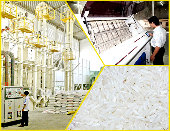 3. Xí nghiệp Xuất khẩu Lương thực – AFIEX