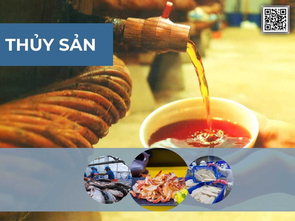 An Giang – Trung tâm kinh tế năng động của Tây Nam Bộ