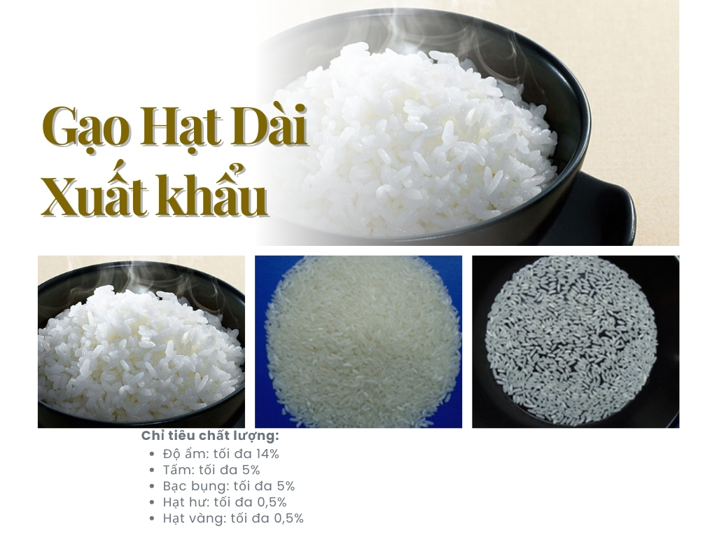 3. Gạo Hạt Dài xuất khẩu