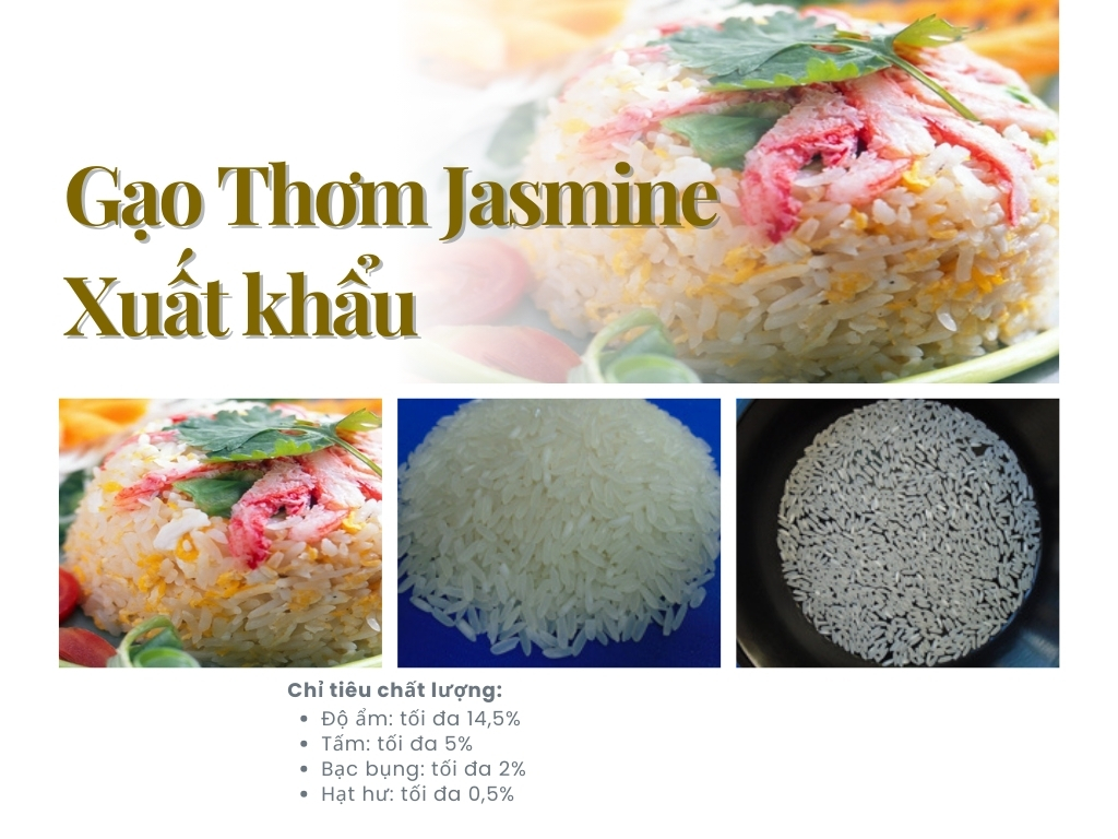 2. Gạo thơm Jasmine xuất khẩu