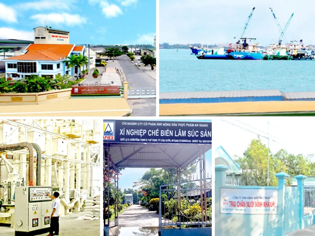 IV. Các Chi nhánh của AFIEX