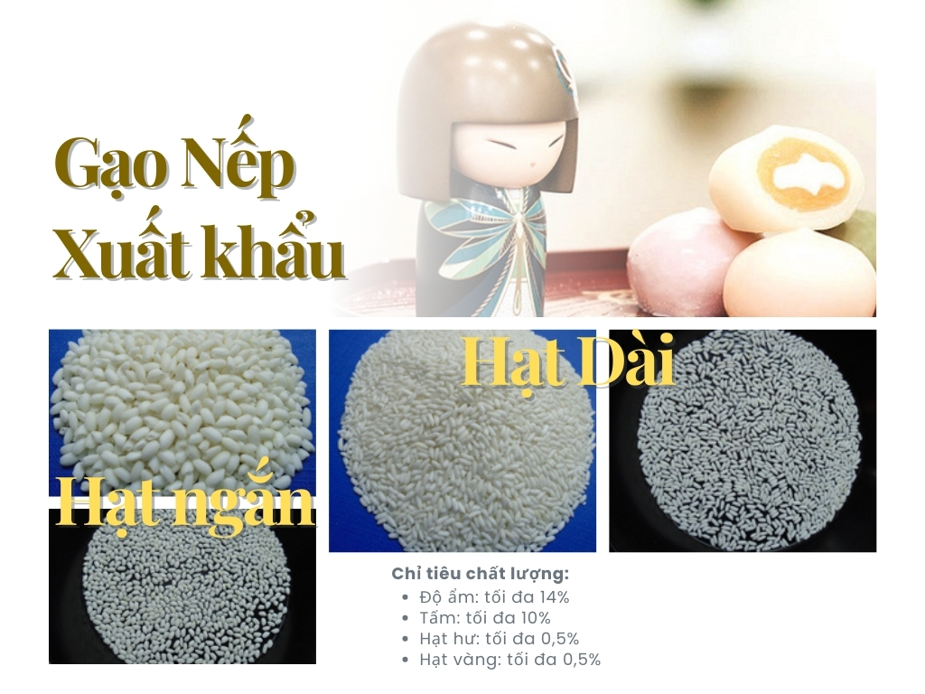 4. Gạo Nếp xuất khẩu