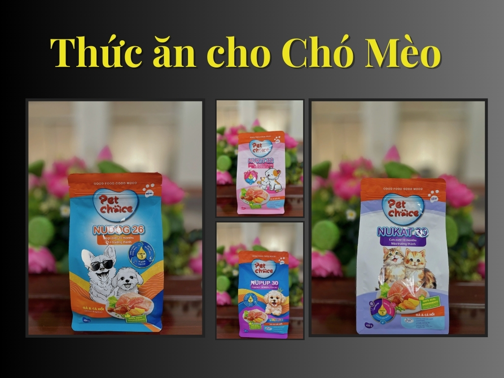 4. Thức ăn Chó mèo