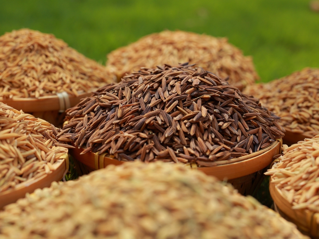 V. Giá trị cốt lõi