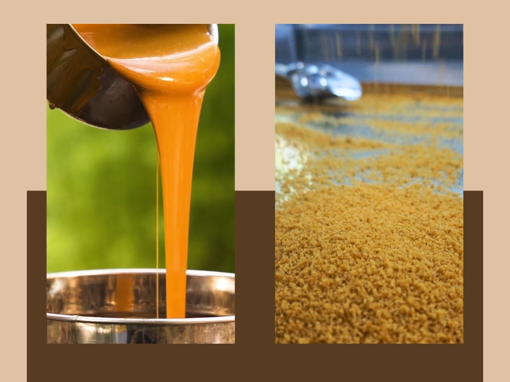 Palmania được sản xuất như thế nào?