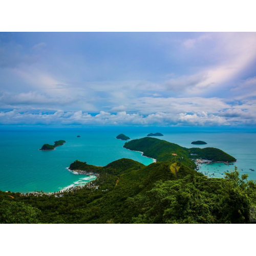 Lĩnh vực kinh doanh