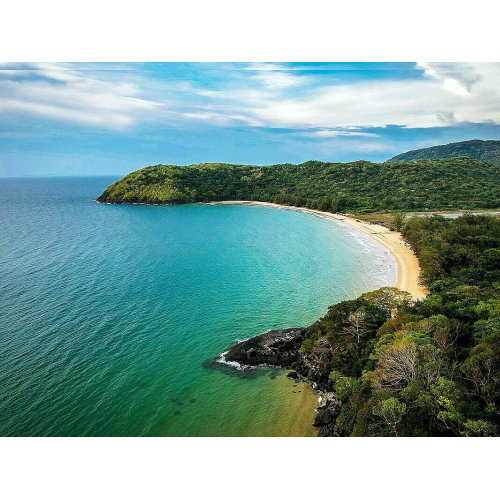 Lĩnh vực kinh doanh