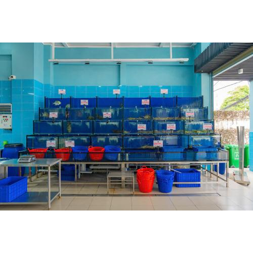 Vịnh Xanh Phú Quốc có gì đặc biệt