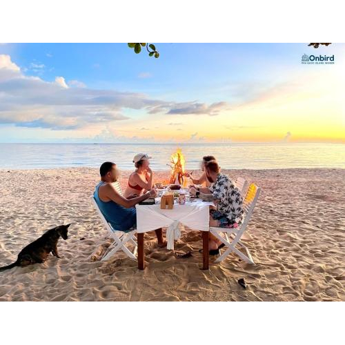 Khám phá san hô chuyên nghiệp & thưởng thức bữa tối riêng tư (tối đa 8 – 9 khách/tour)