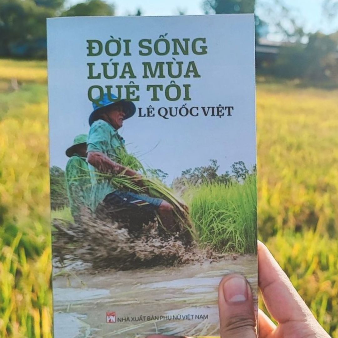 Ấn Phẩm: Đời Sống Lúa Mùa Quê Tôi