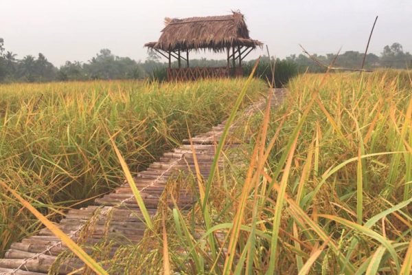 Về chúng tôi