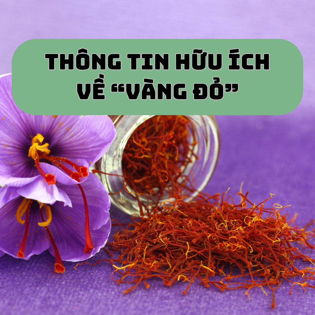 Saffron - "Vàng Đỏ" Đối Với Sức Khỏe Và Sắc Đẹp