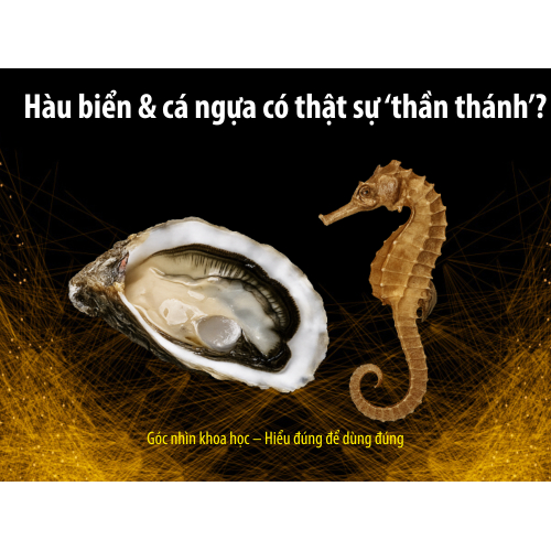 I. Giới Thiệu